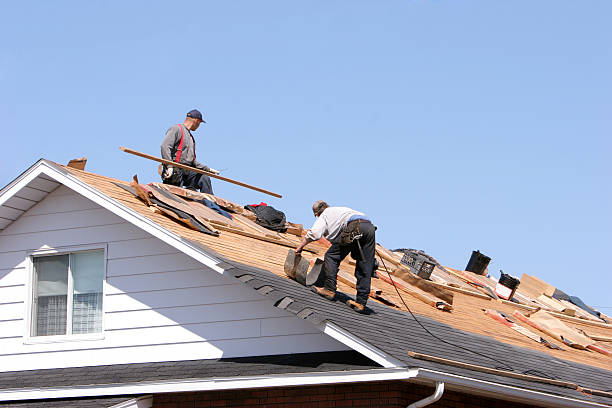 Best Roofing for New Construction  in New Oxford, PA